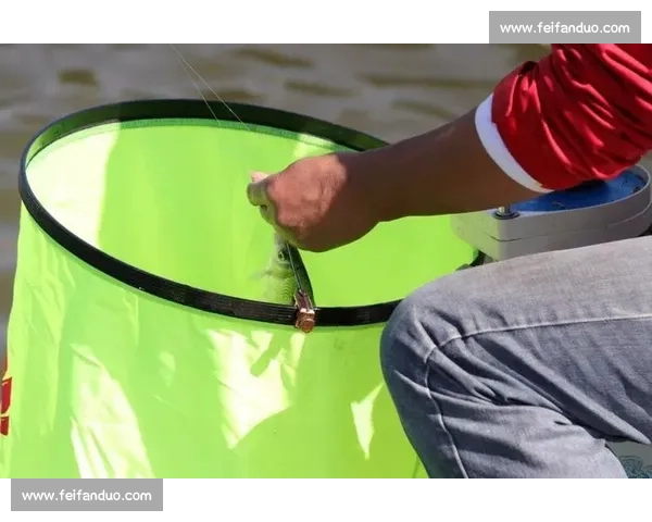 四百钓手扬城逐鹿！第八届 “乐钓江苏” 总决赛落幕